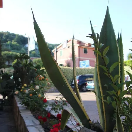La Mimosa Lerici